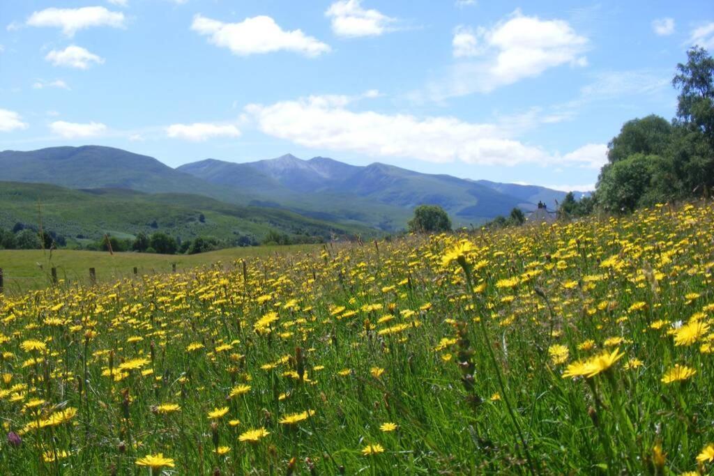 Cul Darach Lodge, Glen Roy Nature Reserve Ройбридж Екстериор снимка
